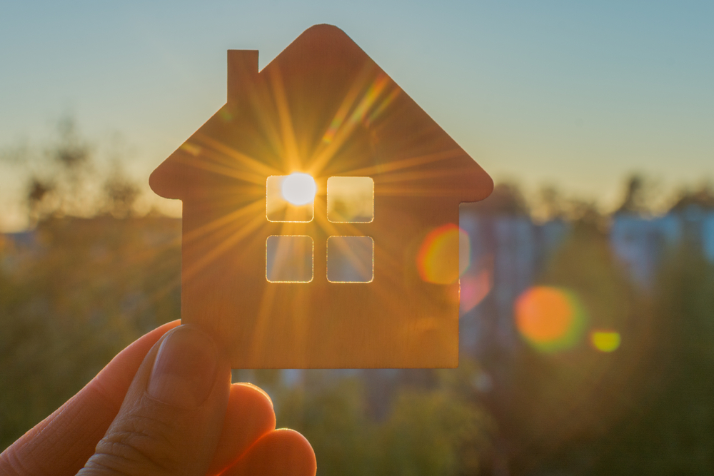 Blinds for North-Facing Windows: What Works Best in NZ Homes?